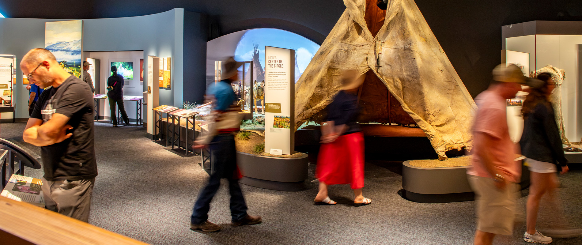 Homeland Gallery