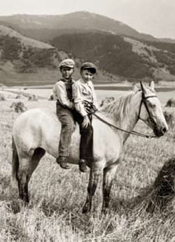  Gallatin Valley wheat field, photo by Albert Schlechten, Bozeman, MT, Montana Historical Society Photo Archives
