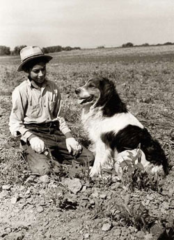 Young Sugar Beet worker with dog